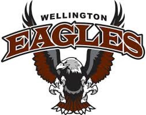 Wellington Middle High School