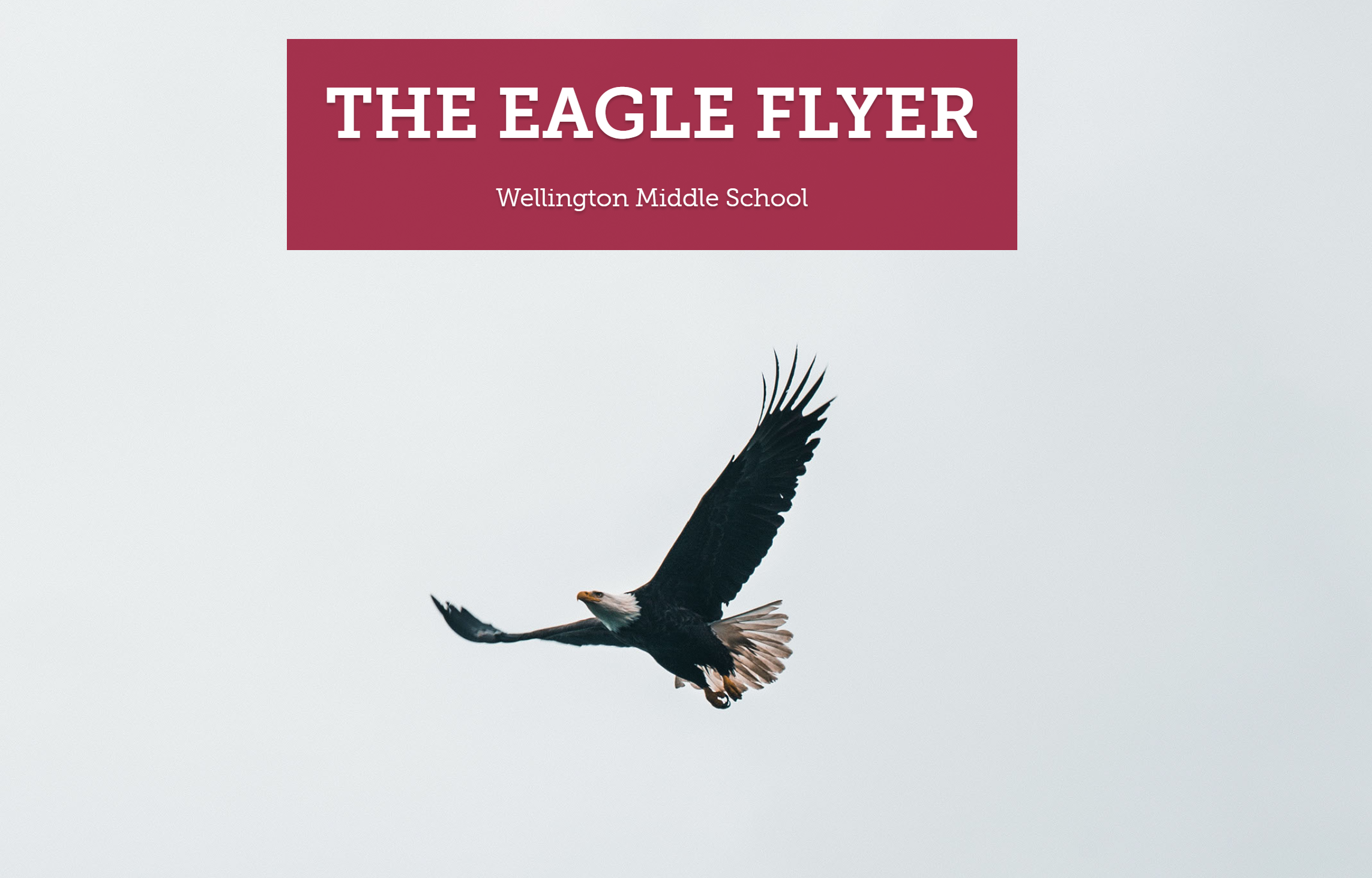 The Eagle Flyer