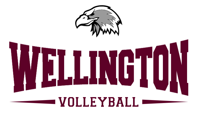 wellington volleyball